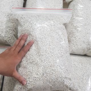 Đất ấp trứng bò sát (túi 400 gram)