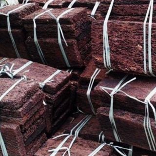 Bảng dớn trồng lan cỡ trung bình 30x15x3 cm
