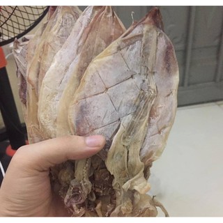 Mực câu khô vân đồn, y hình