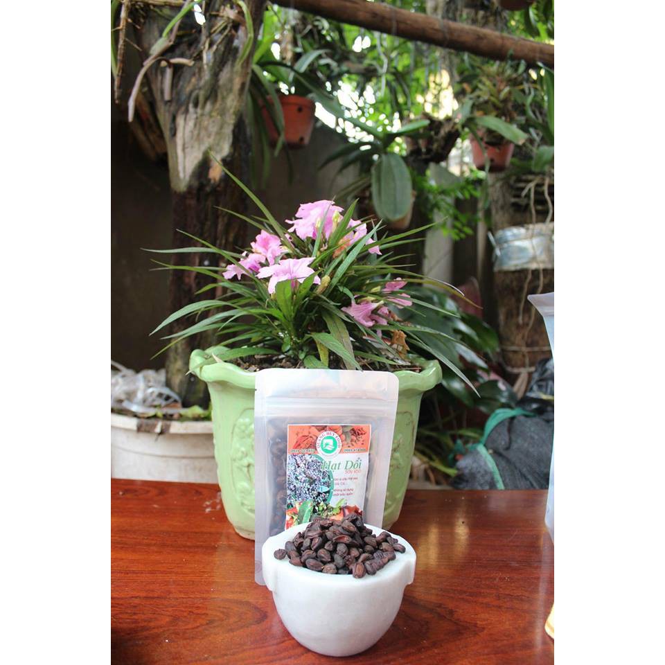 combo hạt mắc khén + hạt dổi rừng | BigBuy360 - bigbuy360.vn