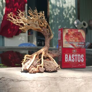 Lũa Bonsai cấy rêu ôm đá.( 13,7,15 cm) drc