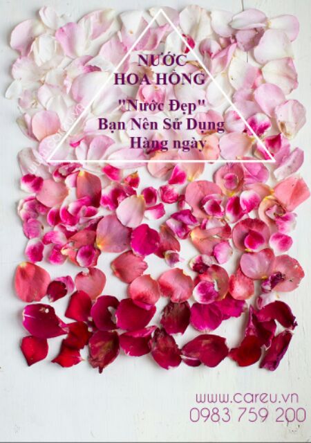 Toner Hoa hồng 60ml (Balancing Rose Mist | BigBuy360 - bigbuy360.vn