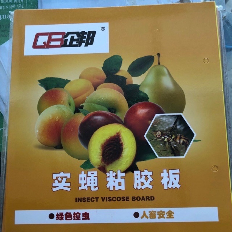Miếng Dán Siêu Dính Ruồi Vàng - Bẫy Ruồi Vàng Và Các Loại Côn Trùng Gây Hại Cây Lan, Hoa Màu, Cây Ăn Trái - Kèm Dây Buộc