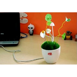 Đèn nấm Avatar cảm ứng