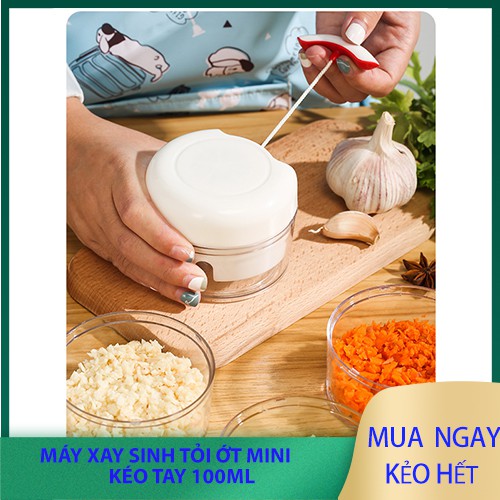 Máy xay tỏi mini cầm tay 100ml cốc nhựa APS.