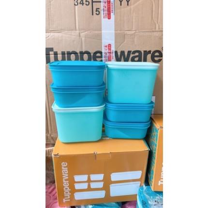 Bộ hộp đựng thực phẩm đông dẻo TUPPERWARE GEN II
