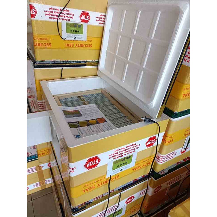 Máy Ấp 60 Trứng Thùng Xốp
