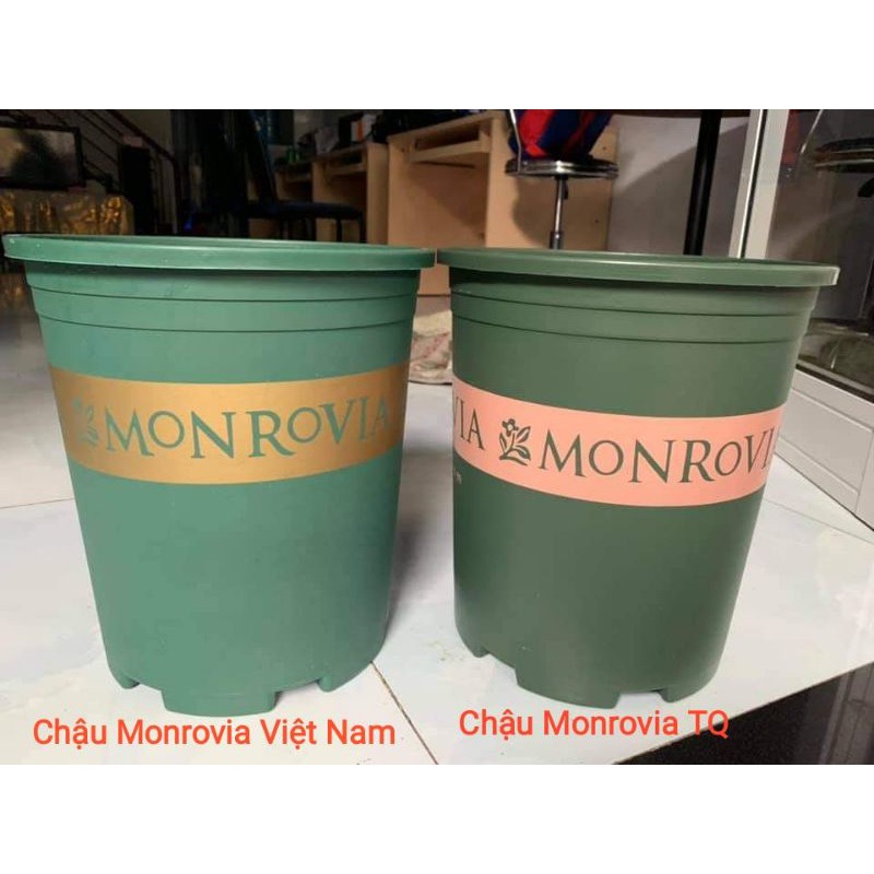 (Kèm đĩa) Chậu nhựa Monrovia 2galon 23x21.5cm _Chậu mon 2gal hàng TQ loại 1 trồng hoa cây cảnh