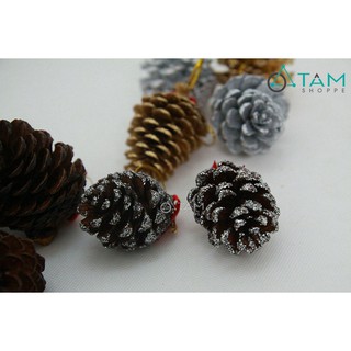 Combo 10 trái thông dầu trang trí Noel XMAS-18 TAN