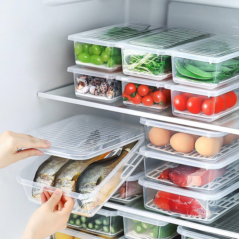 Hộp bảo quản thực phẩm tủ lạnh, hộp trữ đông cao cấp
