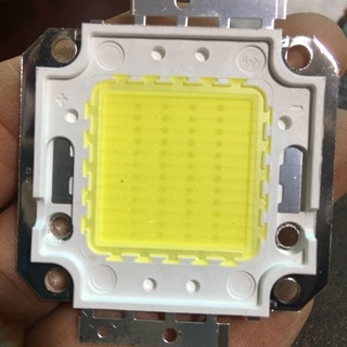 Nhân led 12v-100w