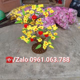 CÂY MAI GIẢ