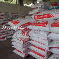 CÁM CÁ KOI KIBAKOI 