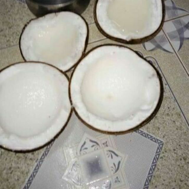 Dừa Sáp Lỏng 3 Cầu Kè-Trà Vinh