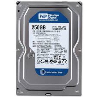 Ổ cứng PC Hdd 250GB + Dây sata 3