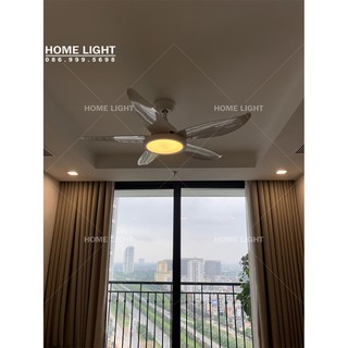 Quạt trần trang trí HomeFan HL-FAN089