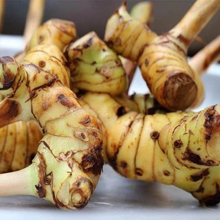 Bột Củ Riềng 100g