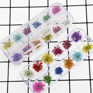 Hoa khô trang trí Resin - Set 24 hoa / hộp
