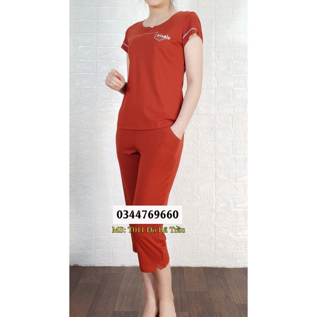 Đồ Bộ Nữ Mặc Nhà💖FREE SHIP💖Đồ Bộ Nữ Tay Ngắn Chất Cotton Mềm Mịn Thấm Hút Mồ Hôi - Mang Lại Cảm Giác Dễ Chịu - CODE 12 | BigBuy360 - bigbuy360.vn