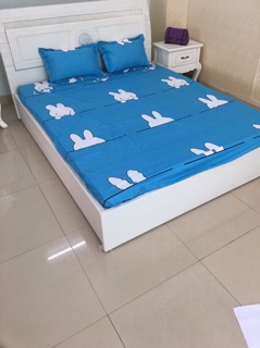 Sét ga gối M8