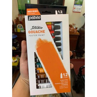 Màu gouache color Pebeo