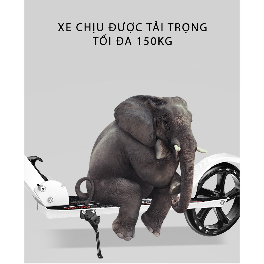 [CAO CẤP ] Xe Trượt Scooter Người Lớn gấp gọn đa năng - dây đeo tiện lợi - Bảo hành 06 tháng