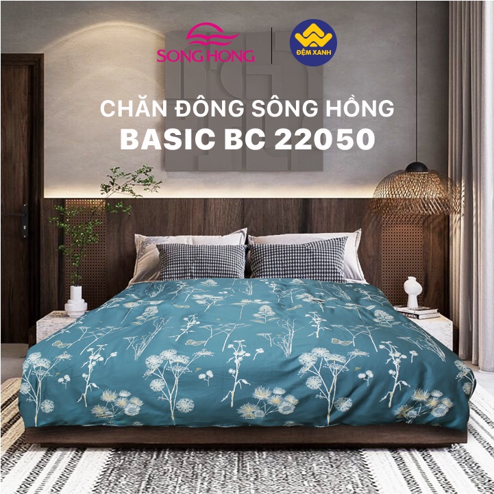 Chăn đông Sông Hồng Basic cotton BC22050
