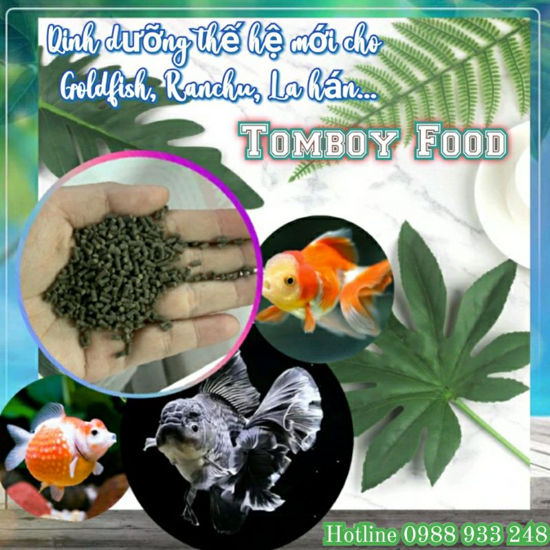 [Giá sập sàn] Túi 5Kg cám TOMBOY cho Tôm, Tép cảnh, cá Cảnh, cá Ranchu