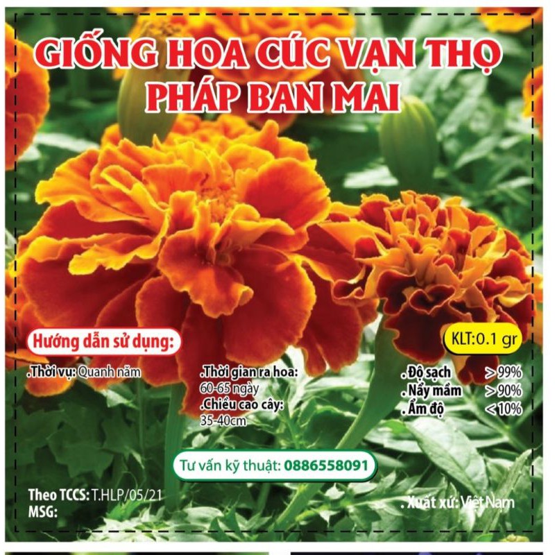 Hạt Giống Hoa Cúc Vạn Thọ Pháp Ban Mai - KLT 1gr