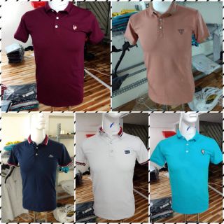 Áo phông nam cổ đức( cổ đức)
