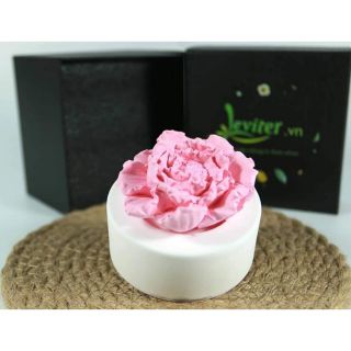 Đá thơm tinh dầu Leviter - Aroma Stone Diffuser Leviter FR 679