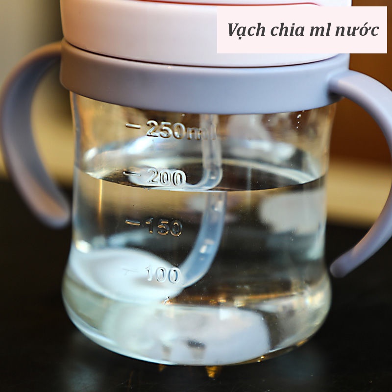 Bình uống nước cho bé có ống hút và tay cầm bình tập uống nước chống sặc dung tích 250ml B19
