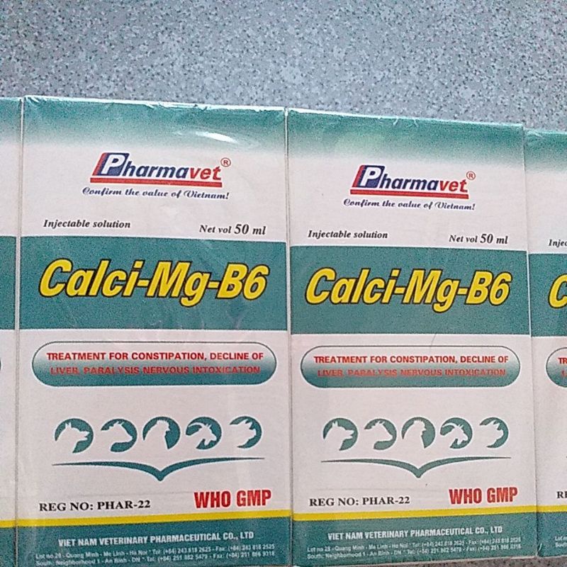 Calci mg b6 cho vật nuôi chửa cần canxi, phù đầu lợn bị th.ần k.inh , táo bón, bại liệt, chó mèo, gà chim for pet thú y