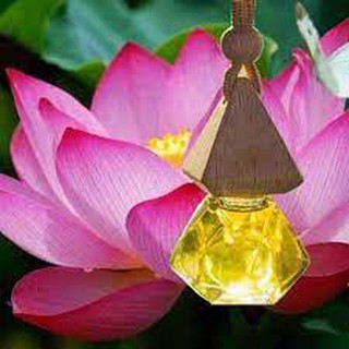 Tinh dầu thơm treo xe , treo phòng hương Hoa Sen Hồng