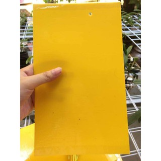 [HOT] COMBO 10 MIẾNG BẪY DÍNH CÔN TRÙNG