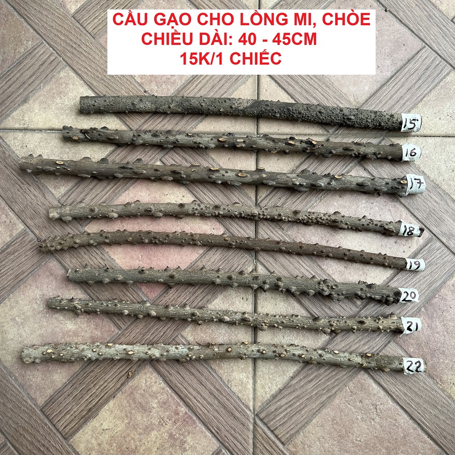 Cầu gạo cho lồng chim họa mi, chòe, chào mào, khướu - Loại tuyển chọn (Được chọn mẫu)