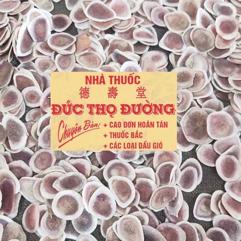 Lộc Nhung - Lộc Giác - thảo dược