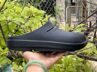 Oofo.s clog