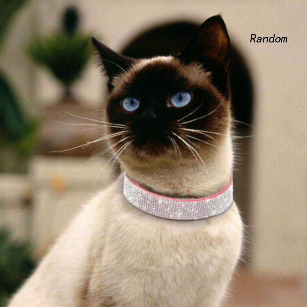 Vòng Cổ Đính Đá Lấp Lánh Dành Cho Chó Chihuahua