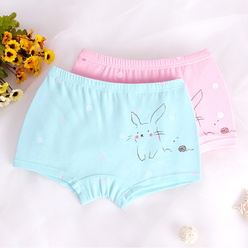 Bộ 2 Quần Lót Boxer Cotton Họa Tiết Hoạt Hình Cho Bé Gái