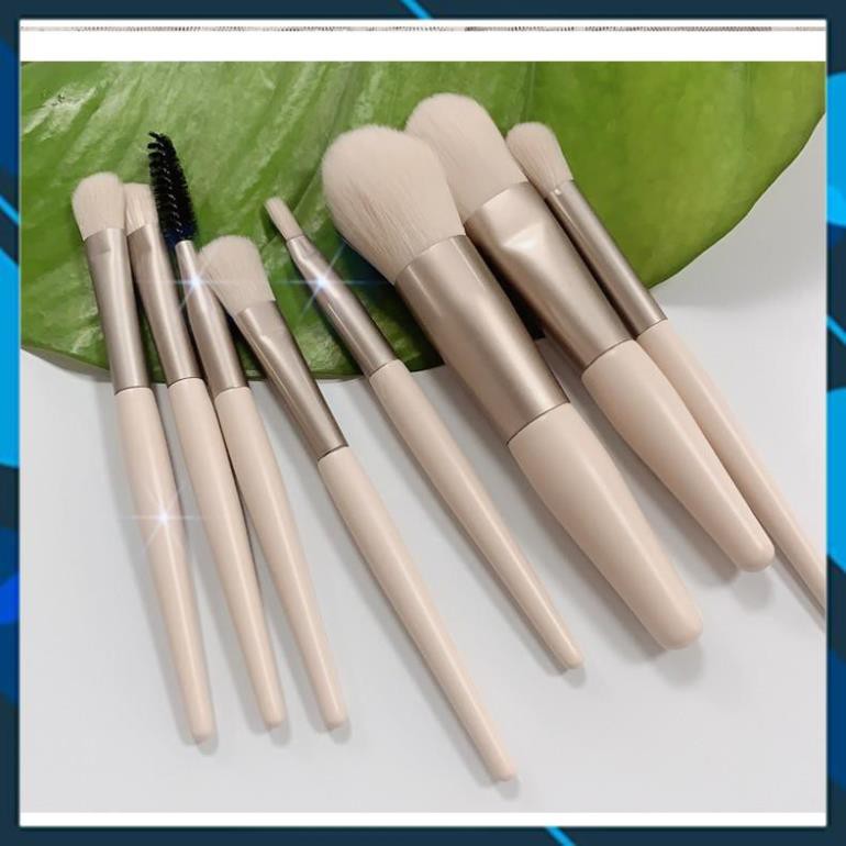 Bộ Cọ Gồm 8 Cây Tặng Kèm Túi Zip Vintage