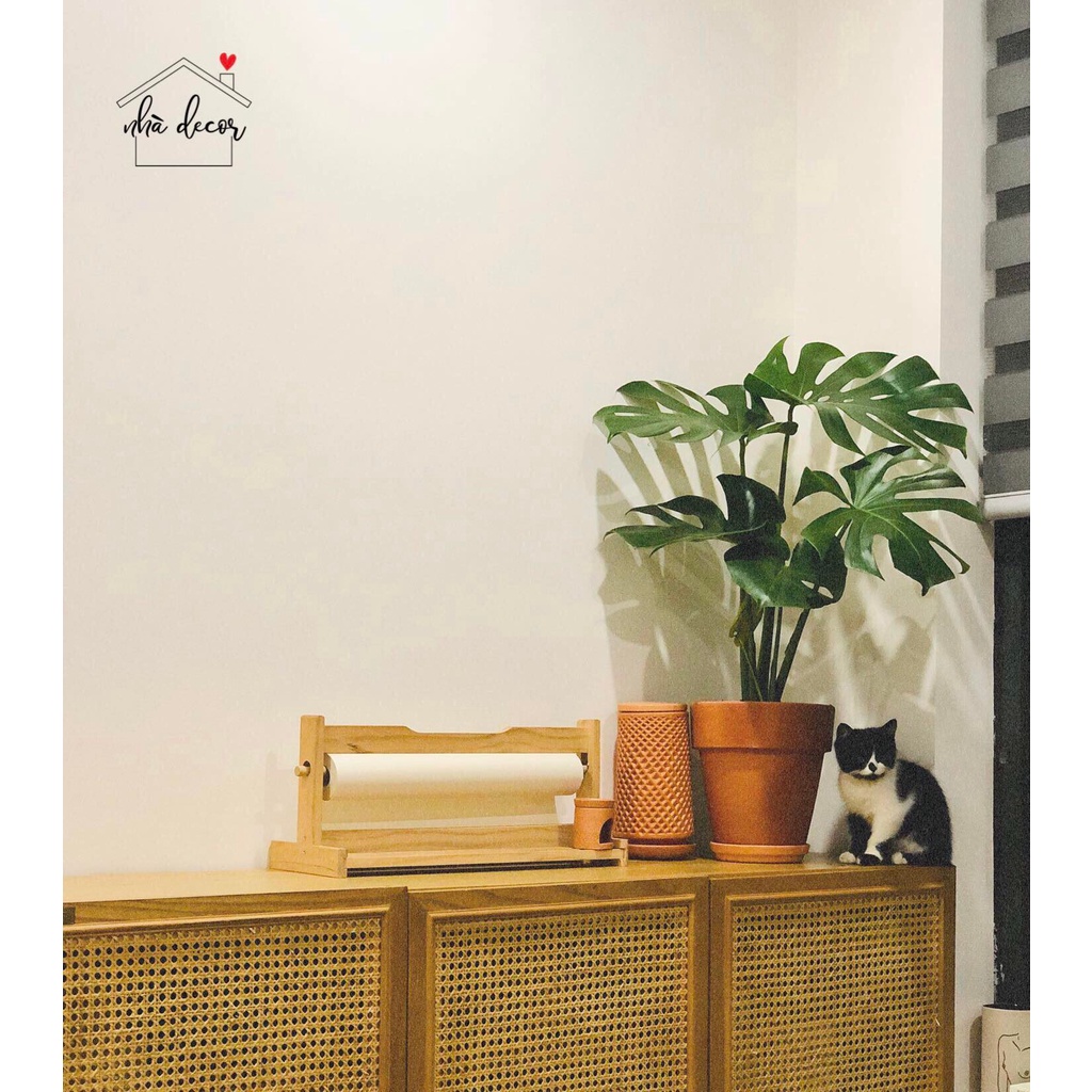 Chậu trồng cây chậu đất nung ly gờ size to 20x21cm Nhà Decor trồng cây cảnh ship 1h hỏng 1 đổi 1