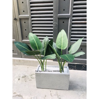 cây chuối giả 80cm