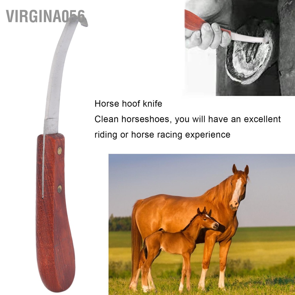 Virgina056 Dao cắt móng ngựa bằng thép không gỉ với tay cầm thoải mái