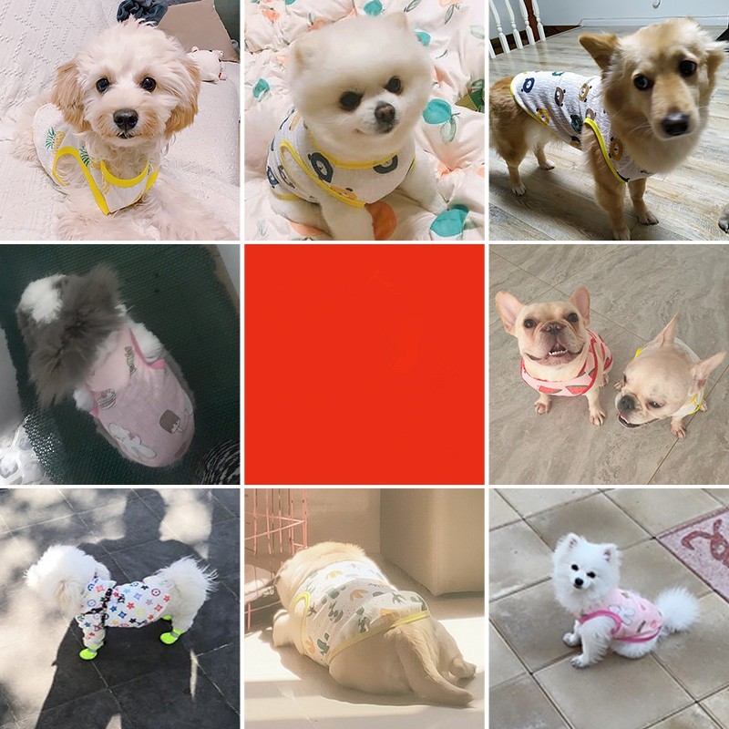 Áo thun cổ tròn thoáng khí in họa tiết dễ thương dành cho thú cưng