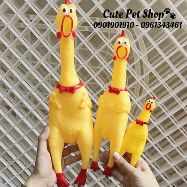 Gà nhựa Shrilling Chicken đã về đủ size🐥