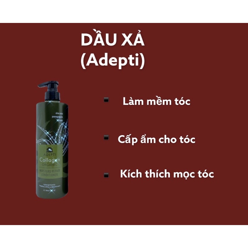 Gội xả dưỡng sinh ADEPTI