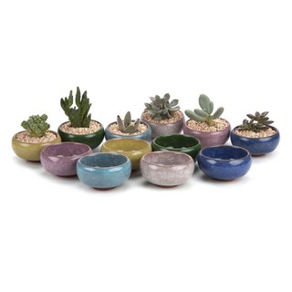 Chậu cây mini bằng gốm sứ siêu cưng dành cho các tín đồ trồng sen đá- Giao màu ngẫu nhiên như hình