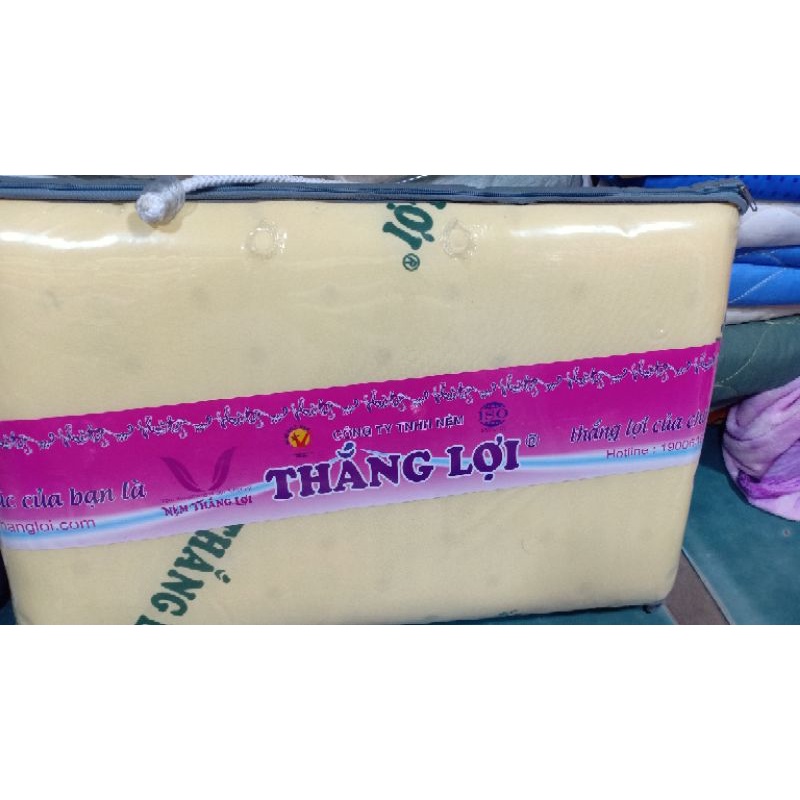 Gối cao su non Thắng  Lợi 40x60 và 50x70