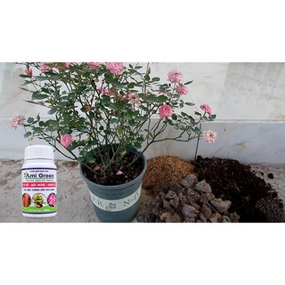 PHÂN BÓN SINH HỌC AMI GREEN